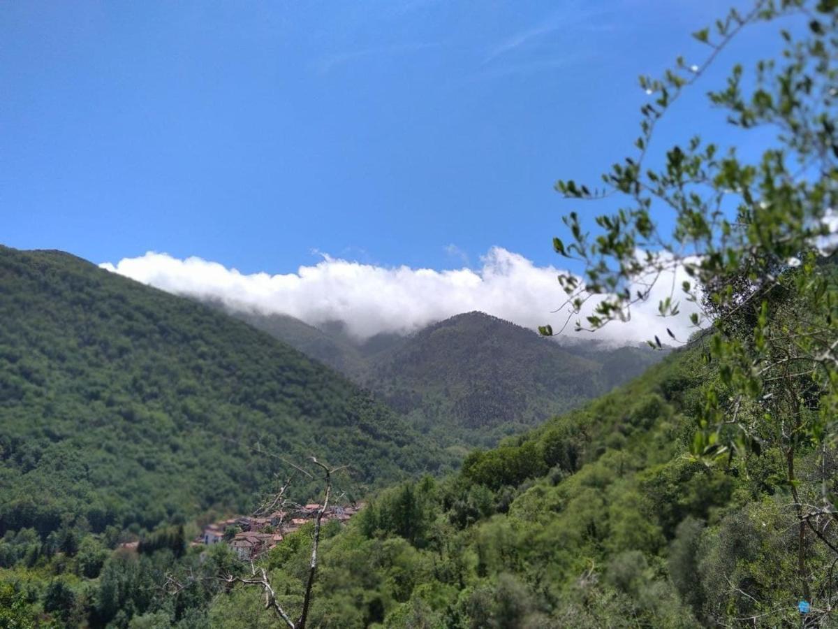 La Cantina Del Sole Vila Riccò del Golfo di Spezia Exterior foto