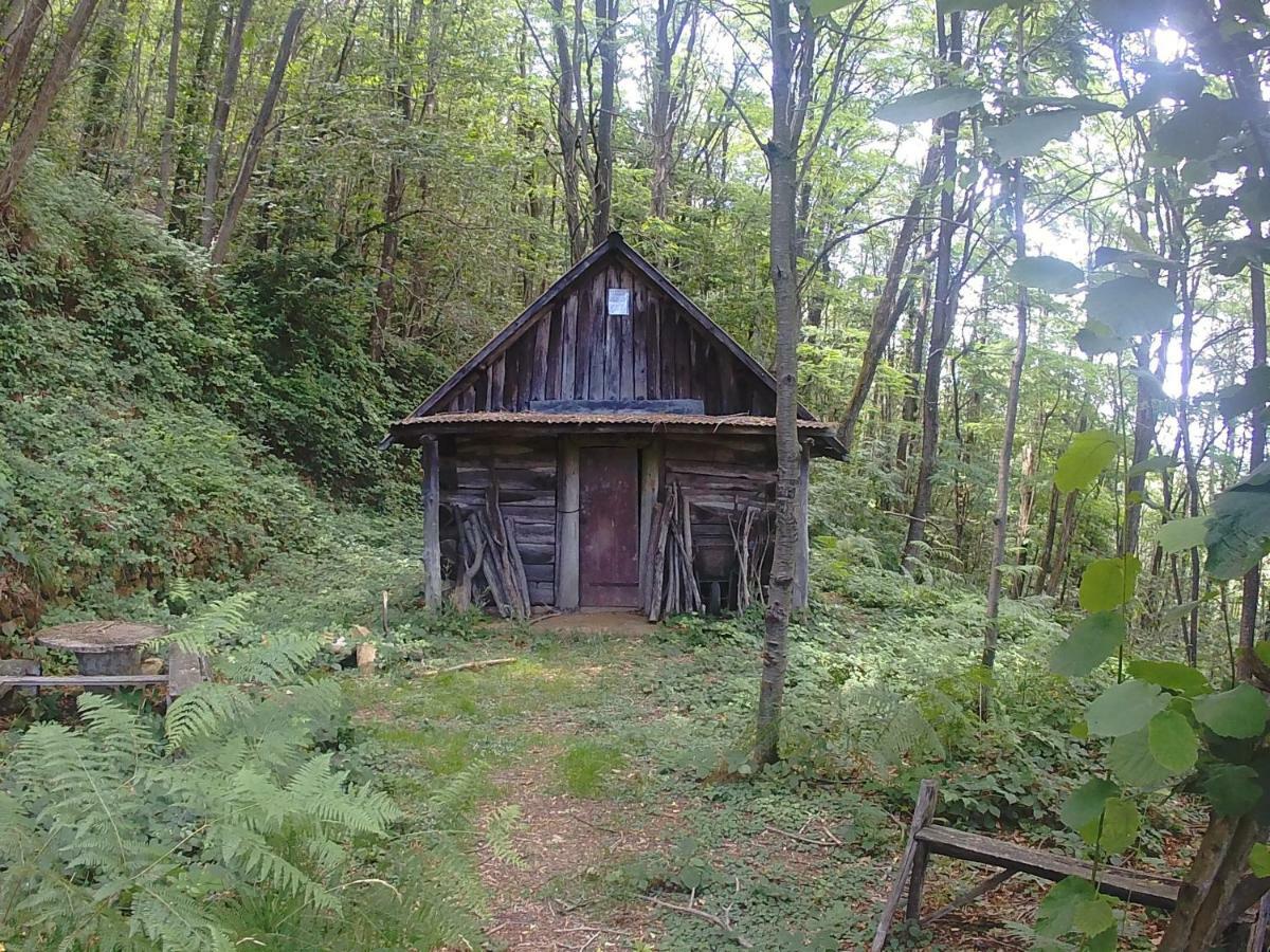 La Cantina Del Sole Vila Riccò del Golfo di Spezia Exterior foto